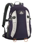 Allroundrucksack Wizard Air 24+ 4 liter von Vaude