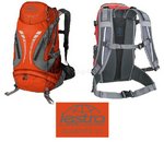 Zugspitz 21 Lestra Rucksack 21L orange/grau